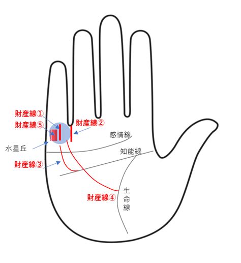 財運|【金運の手相】財運線（財産線）の長さや本数からお。